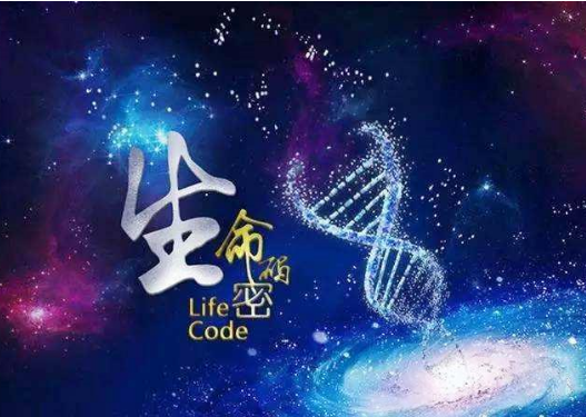 手机号码尾数什么数字最好 手机号码有吉凶 手机号码尾数什么数字最好 手机号码有吉凶